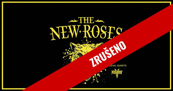 THE NEW ROSES
